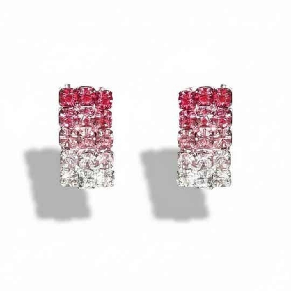 NWOT  Chic Gradient Pink and Silver Earrings